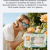 Object Recognition smart glasses
